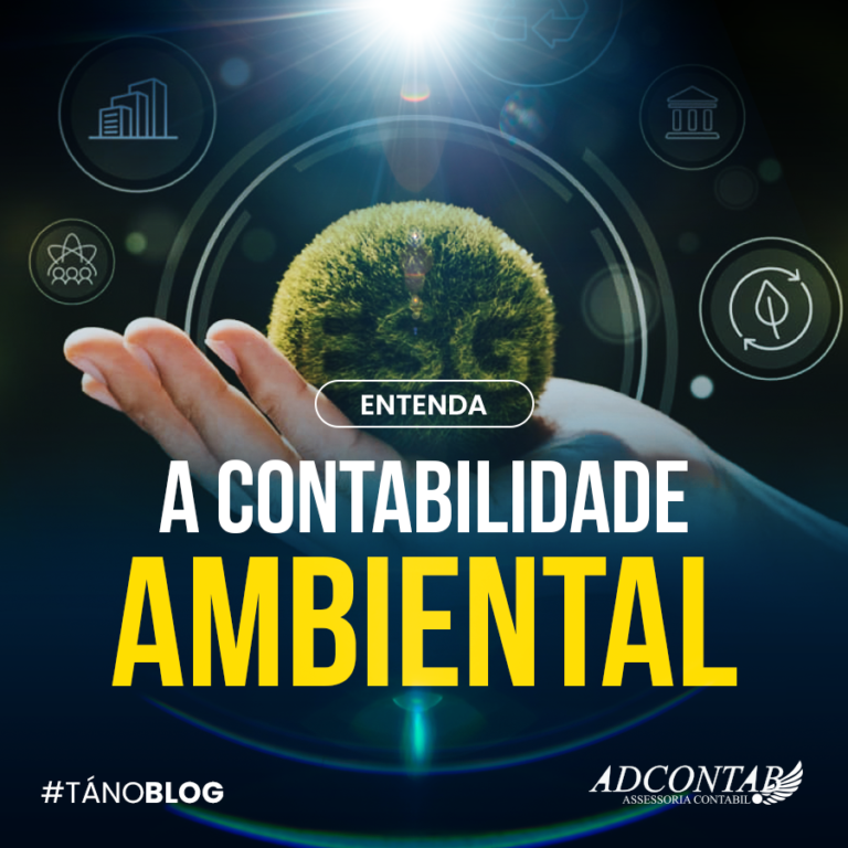 Entenda a Contabilidade Ambiental